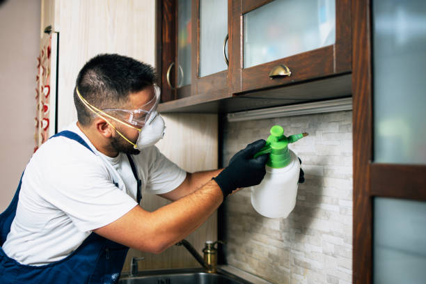 Best Pest Removal Services  in Raleigh Hills, OR
