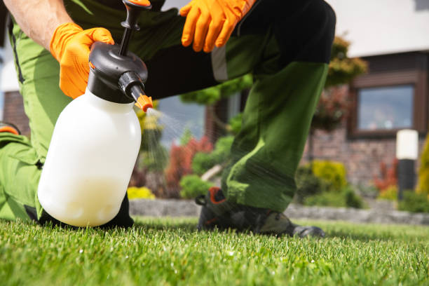Best Termite Control Services  in Raleigh Hills, OR