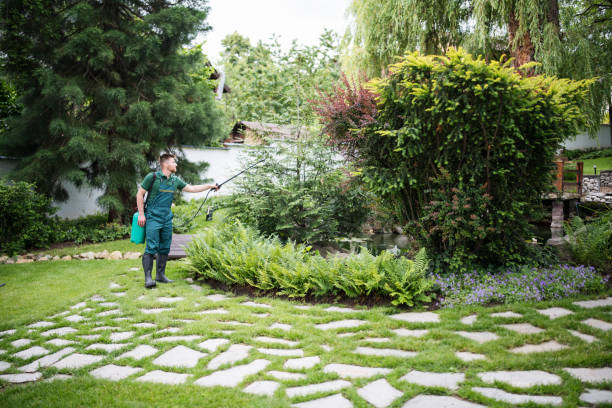 Best Cockroach Control Services  in Raleigh Hills, OR