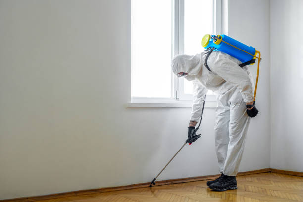 Best Rat Extermination Near Me  in Raleigh Hills, OR