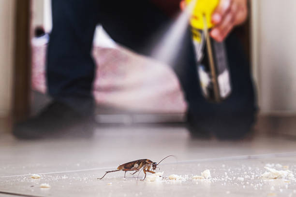 Best Residential Pest Control  in Raleigh Hills, OR