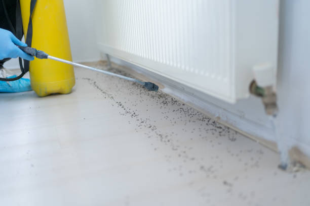 Best Affordable Pest Control Services  in Raleigh Hills, OR