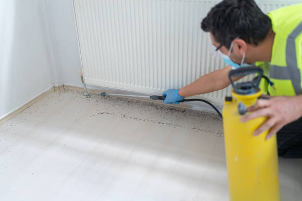 Best Bed Bug Extermination  in Raleigh Hills, OR