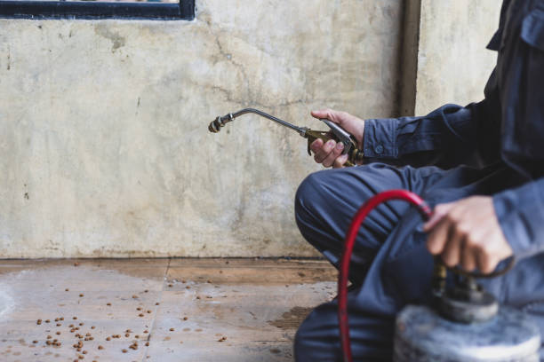 Best Mosquito Control Services  in Raleigh Hills, OR